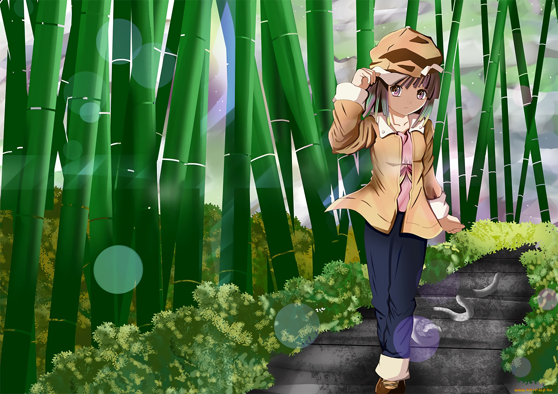 , bakemonogatari, , , 